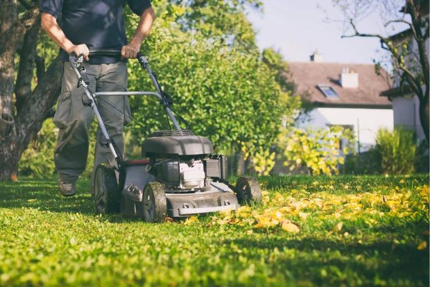 Gardening work in Asquith and the surrounding area