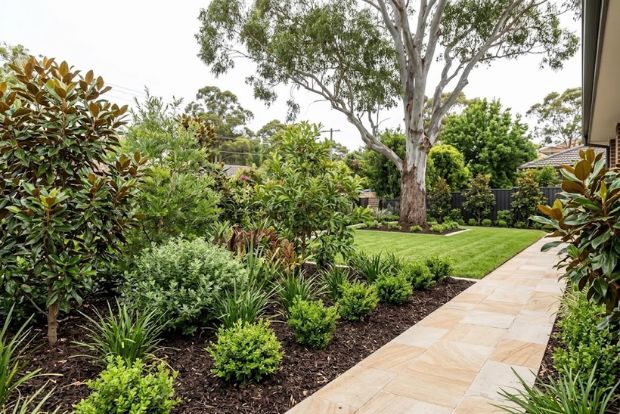 Finished A1 gardening work in Cherrybrook or nearby.