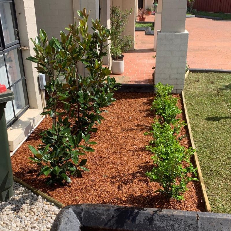 Fresh mulch being spread on a Sydney garden bed.