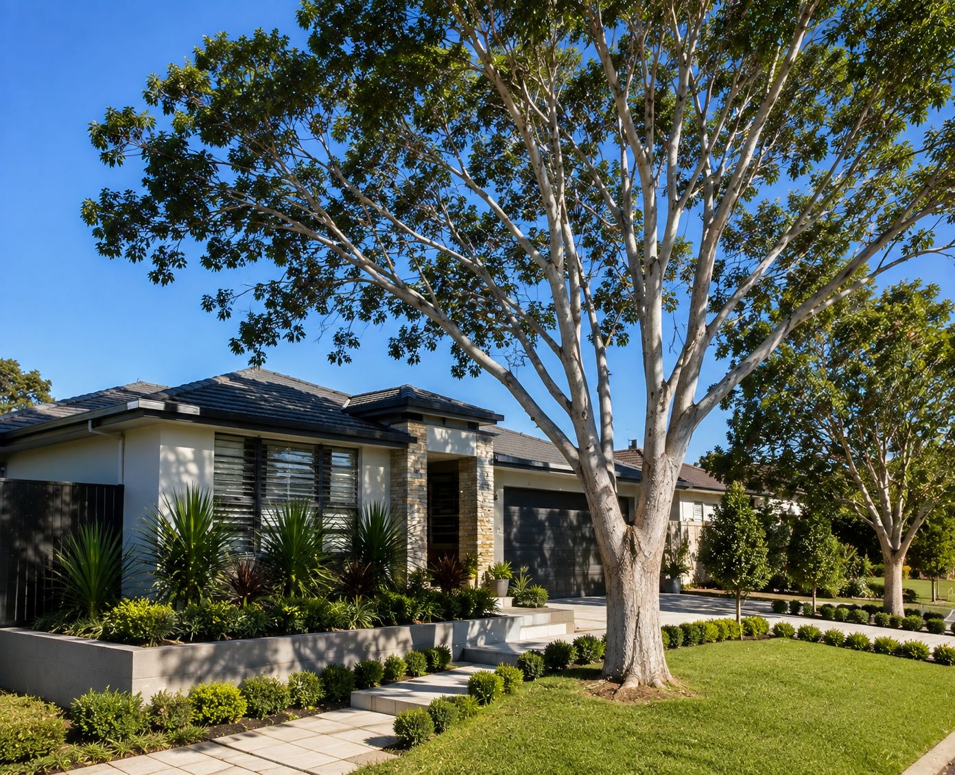 A standout tree services project in Campbelltown or the Macarthur region.